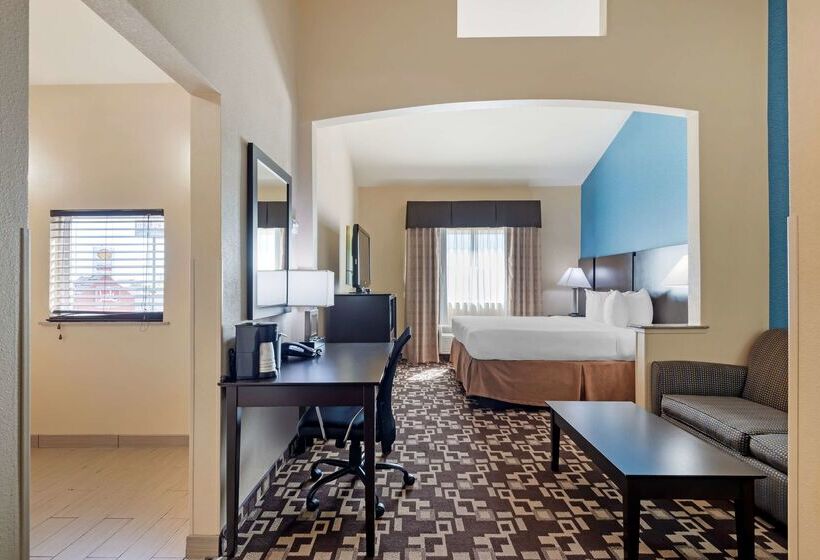 酒店 Best Western Plus Arlington North