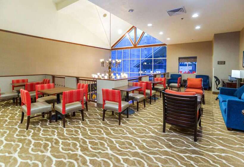 فندق Comfort Inn Downtown