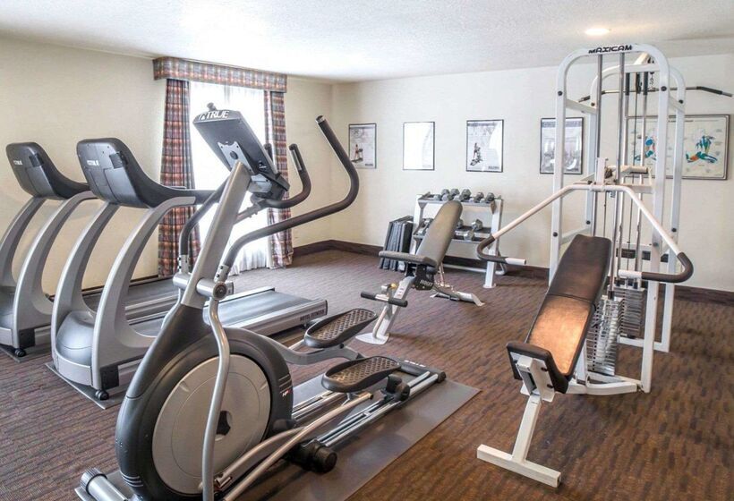 فندق Comfort Inn Downtown