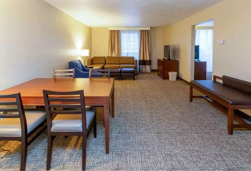 בית מלון כפרי Comfort Inn Downtown