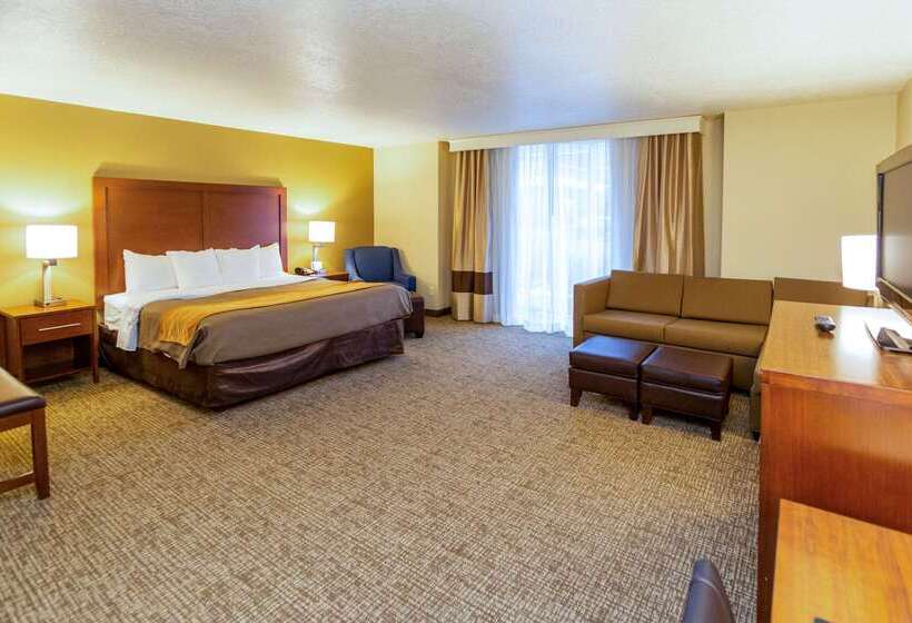 فندق Comfort Inn Downtown