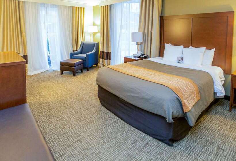 فندق Comfort Inn Downtown