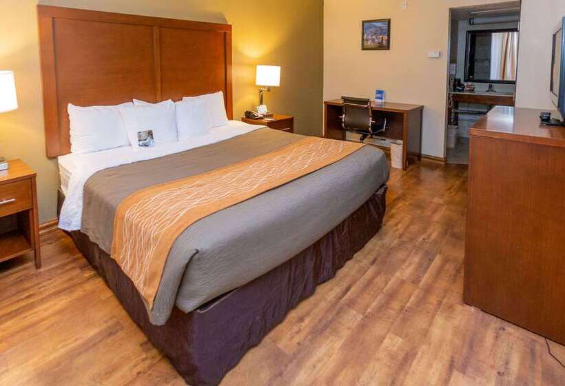 فندق Comfort Inn Downtown