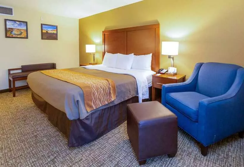 בית מלון כפרי Comfort Inn Downtown