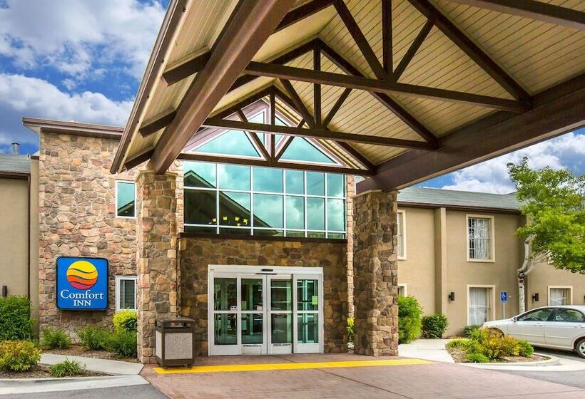 فندق Comfort Inn Downtown