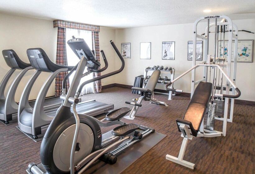 فندق Comfort Inn Downtown