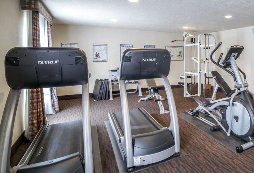 فندق Comfort Inn Downtown