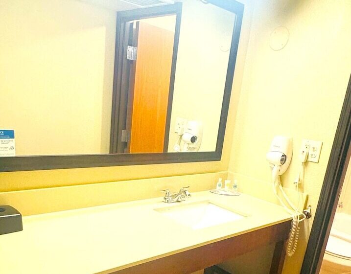 فندق Comfort Inn Downtown