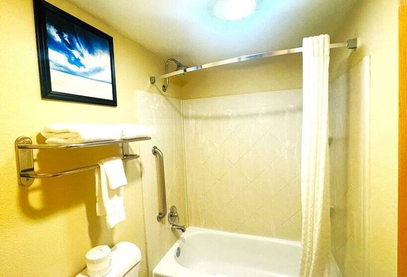 فندق Comfort Inn Downtown