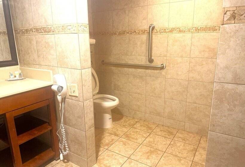 فندق Comfort Inn Downtown