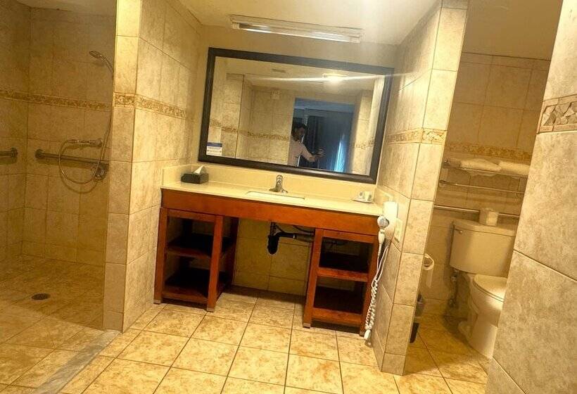 فندق Comfort Inn Downtown