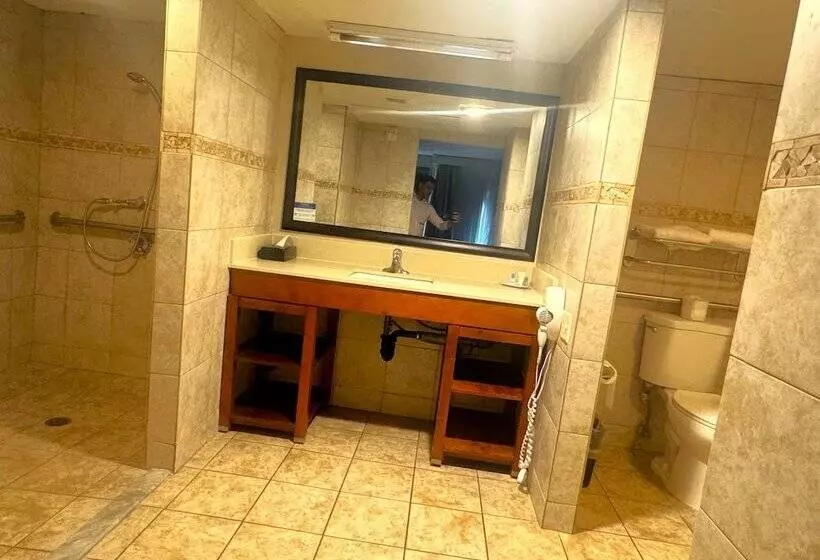 בית מלון כפרי Comfort Inn Downtown