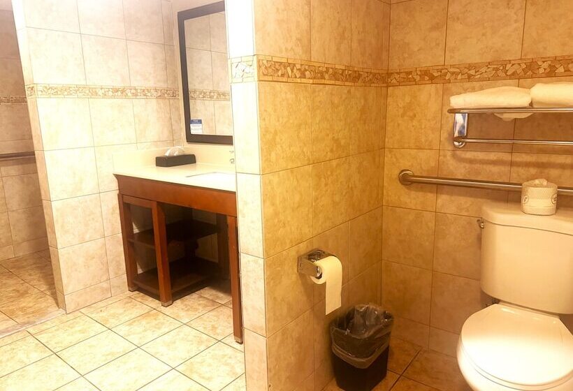 فندق Comfort Inn Downtown