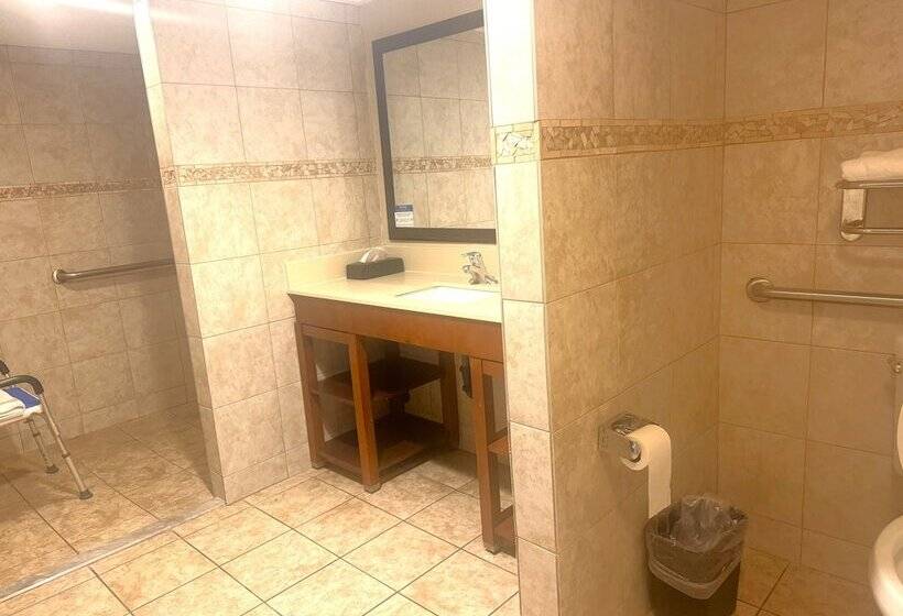 فندق Comfort Inn Downtown