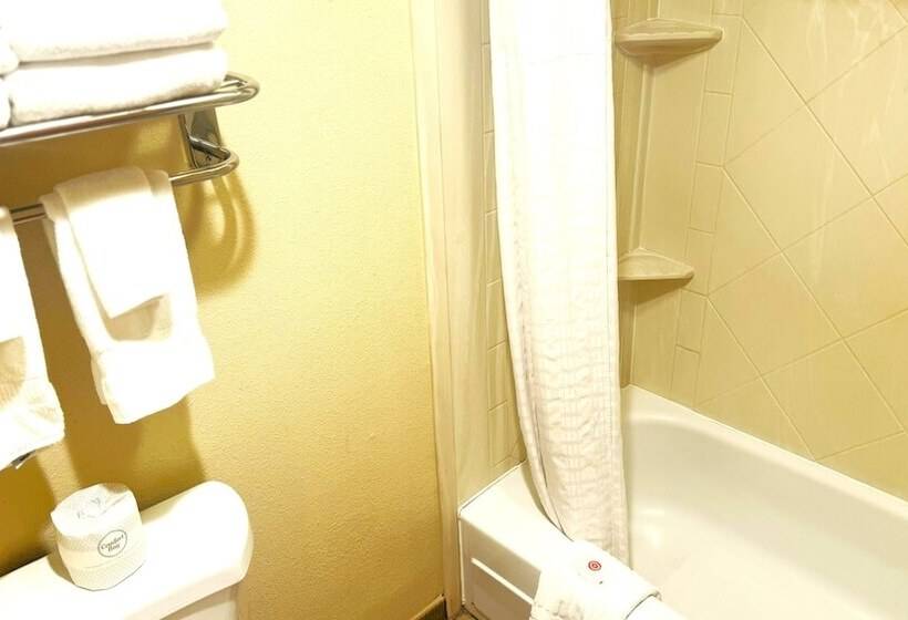 فندق Comfort Inn Downtown