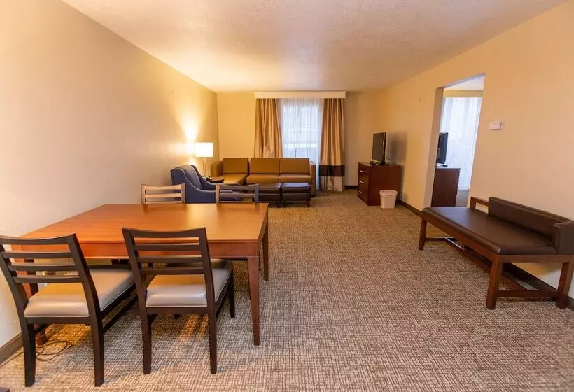 בית מלון כפרי Comfort Inn Downtown