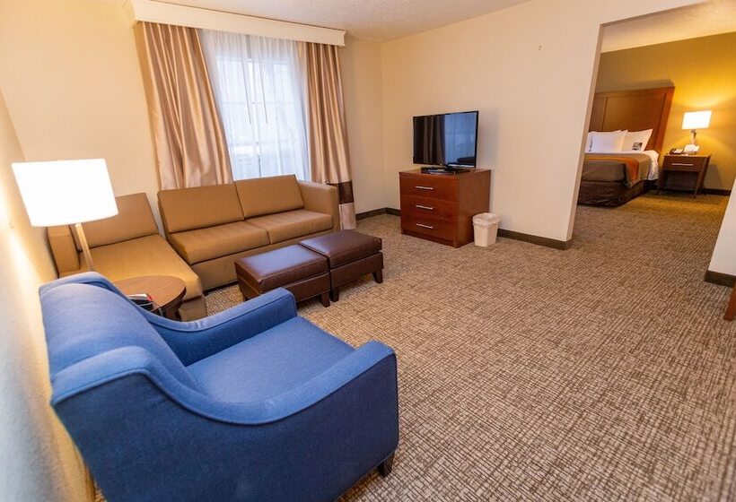 فندق Comfort Inn Downtown
