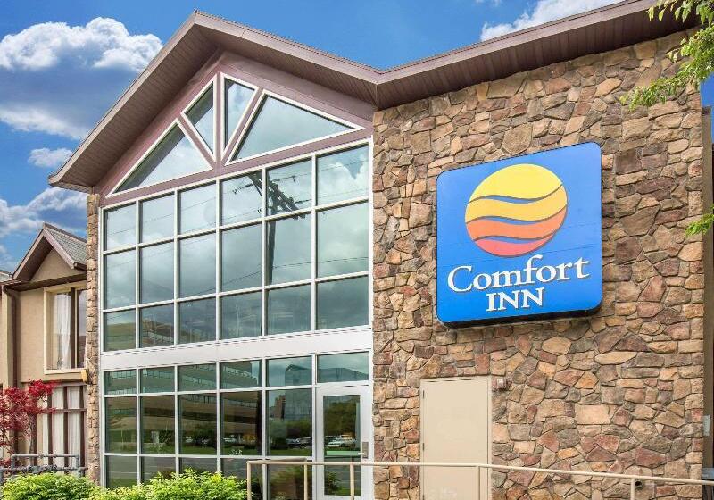 فندق Comfort Inn Downtown