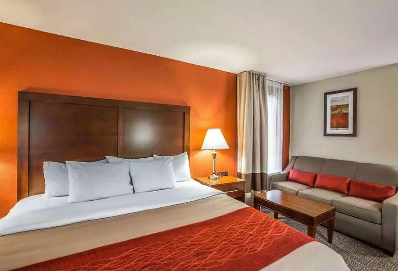 Hotel Comfort Inn Near Great Smoky Mountain National Park