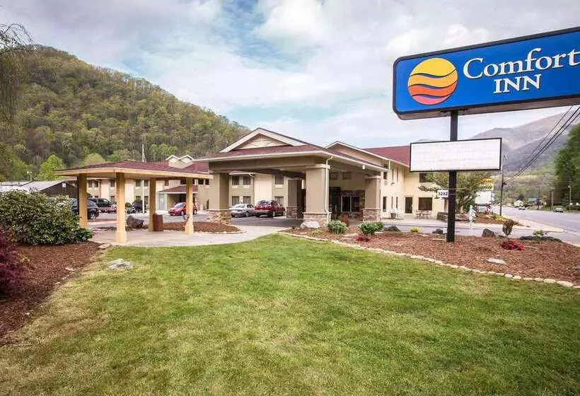 Hotel Comfort Inn Near Great Smoky Mountain National Park