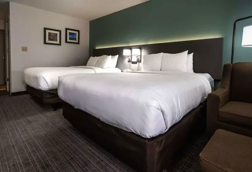 Hotel Comfort Inn Near Great Smoky Mountain National Park