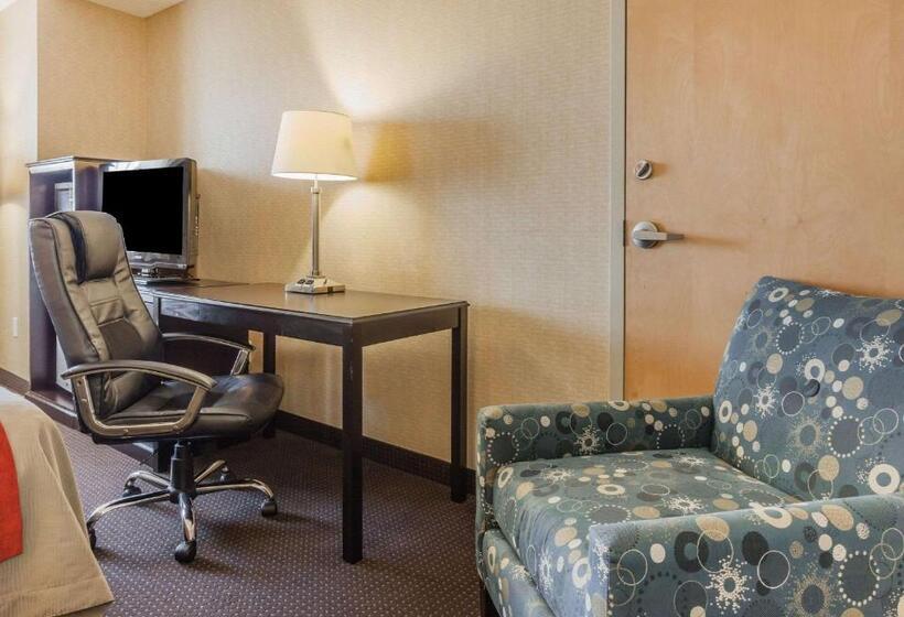 酒店 Comfort Inn On The Bay