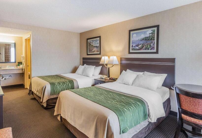 酒店 Comfort Inn On The Bay