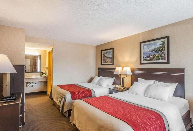 酒店 Comfort Inn On The Bay