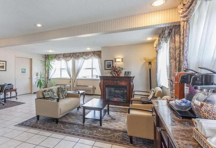 酒店 Comfort Inn On The Bay