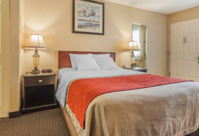 酒店 Comfort Inn On The Bay