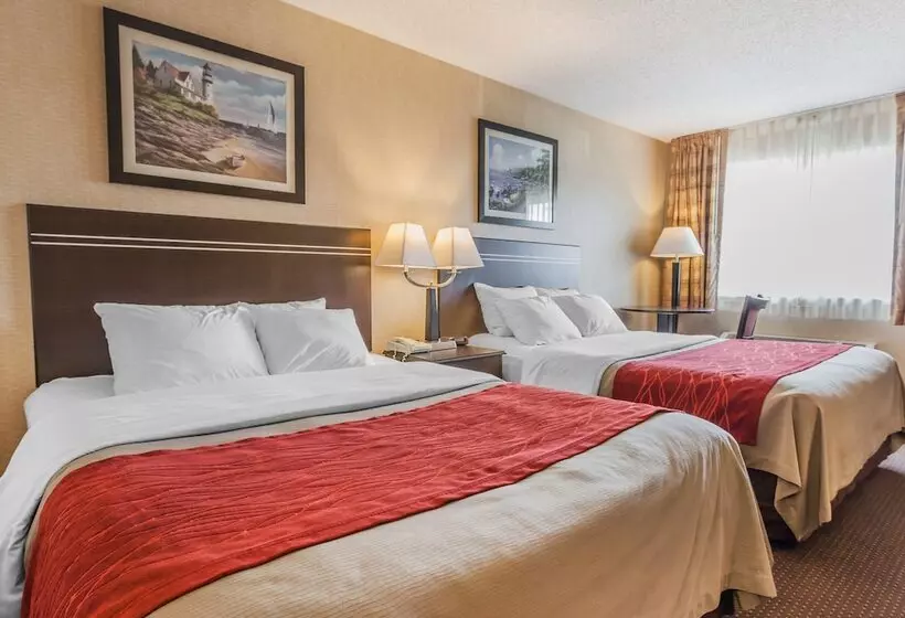 ホテル Comfort Inn On The Bay