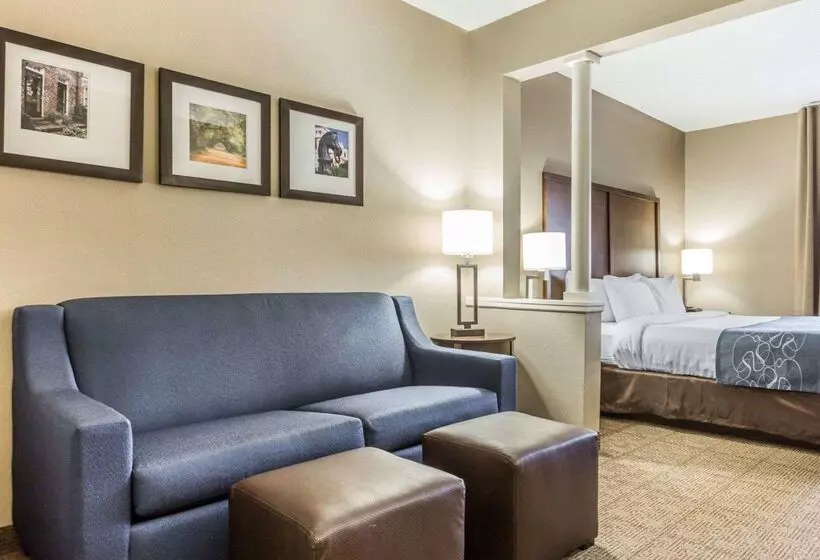 בית מלון כפרי Comfort Suites At Isle Of Palms Connector
