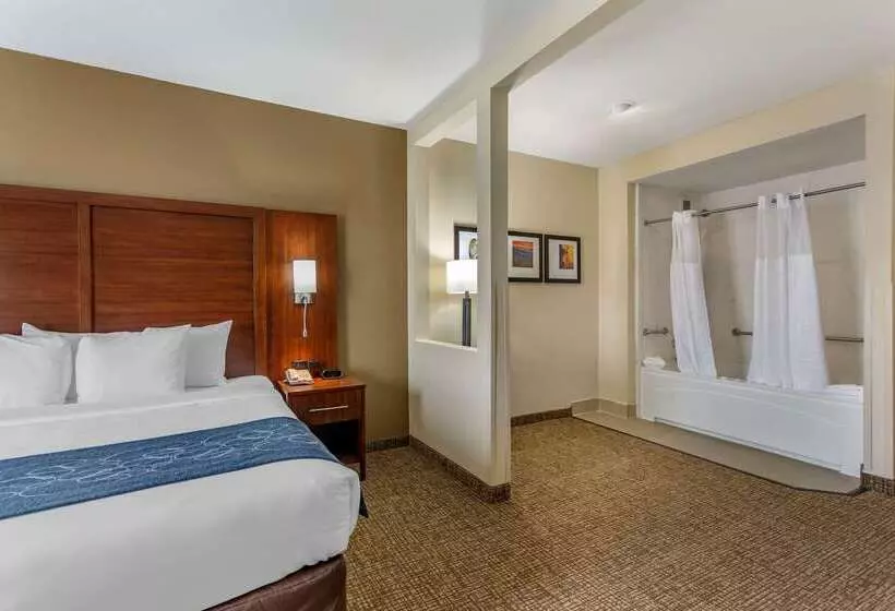 ホテル Comfort Suites At Rivergate Mall