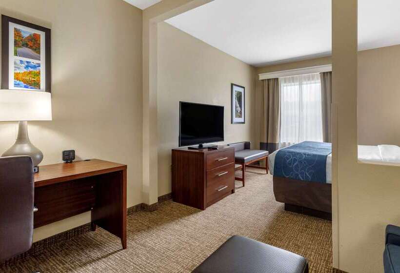 호텔 Comfort Suites At Rivergate Mall