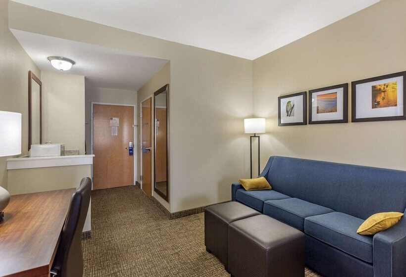 호텔 Comfort Suites At Rivergate Mall