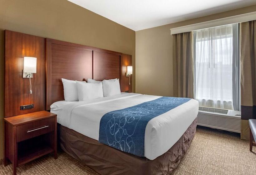 호텔 Comfort Suites At Rivergate Mall