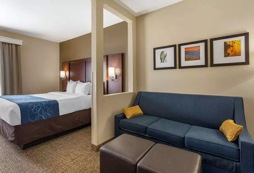 ホテル Comfort Suites At Rivergate Mall