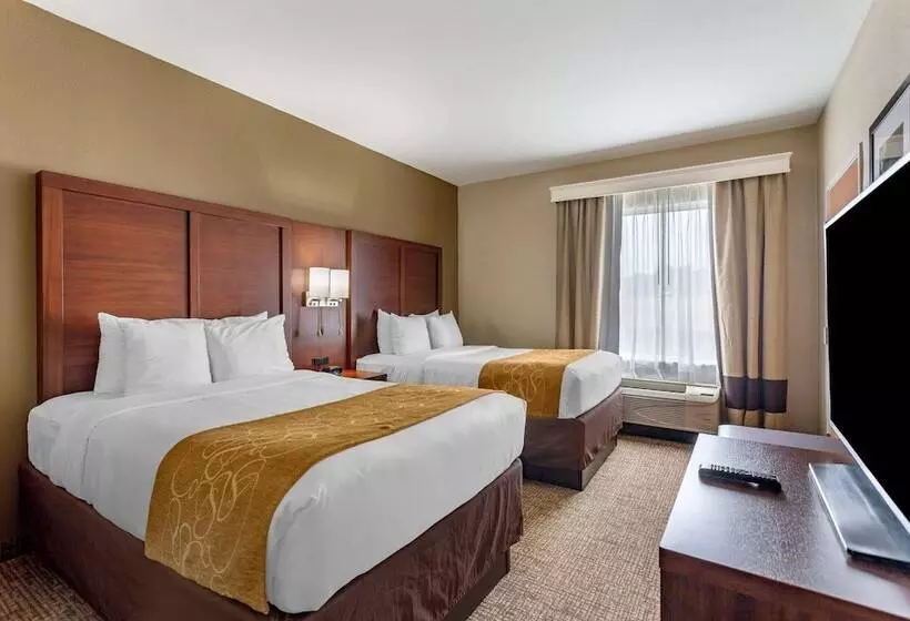 ホテル Comfort Suites At Rivergate Mall