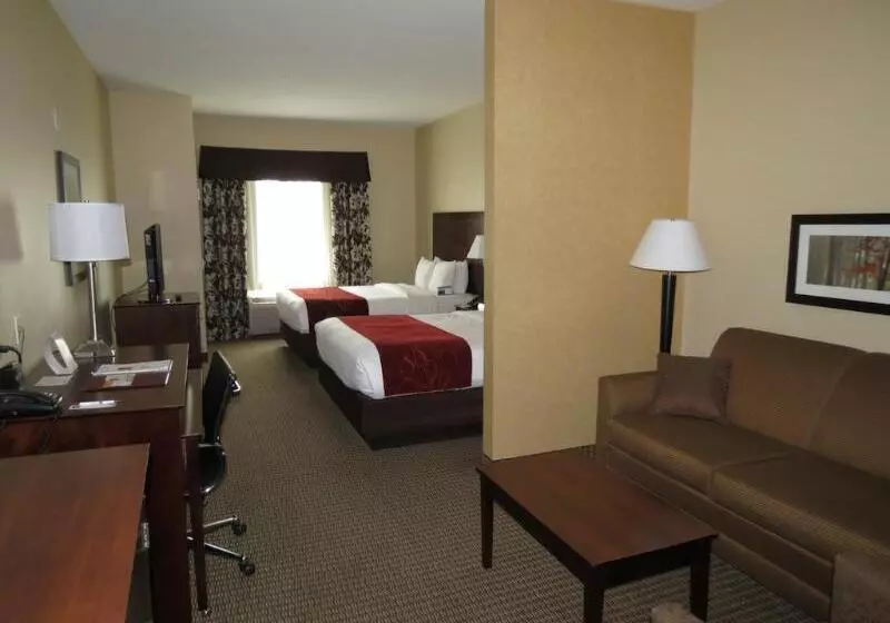 هتل Comfort Suites Conference Center Rapid City