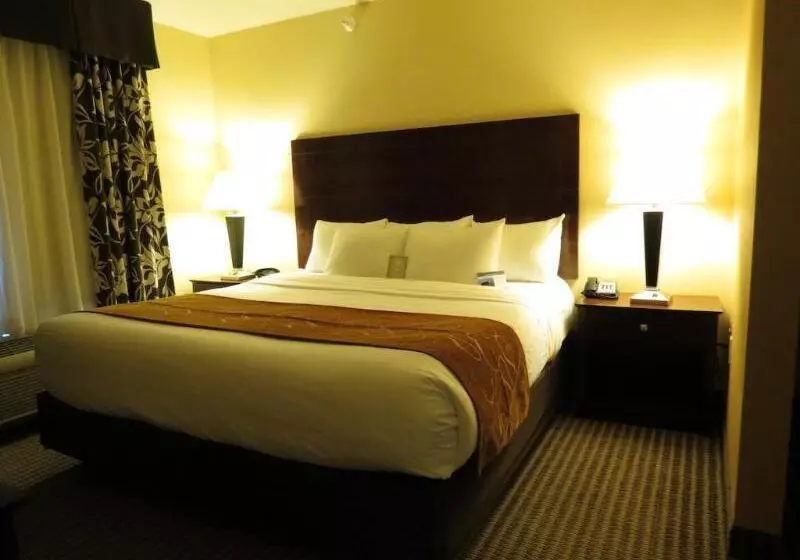 هتل Comfort Suites Conference Center Rapid City