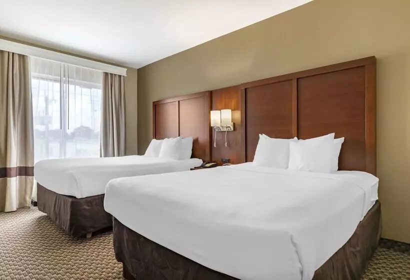 בית מלון כפרי Comfort Suites Medical Center Near Six Flags