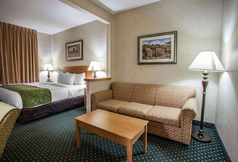 호텔 Comfort Suites Peoria I 74