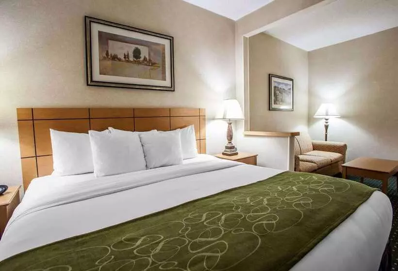酒店 Comfort Suites Peoria I 74