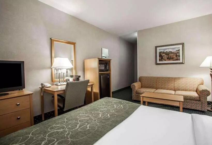 酒店 Comfort Suites Peoria I 74