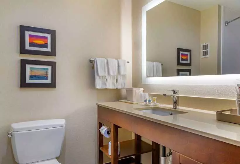 ホテル Comfort Suites Savannah Gateway I95