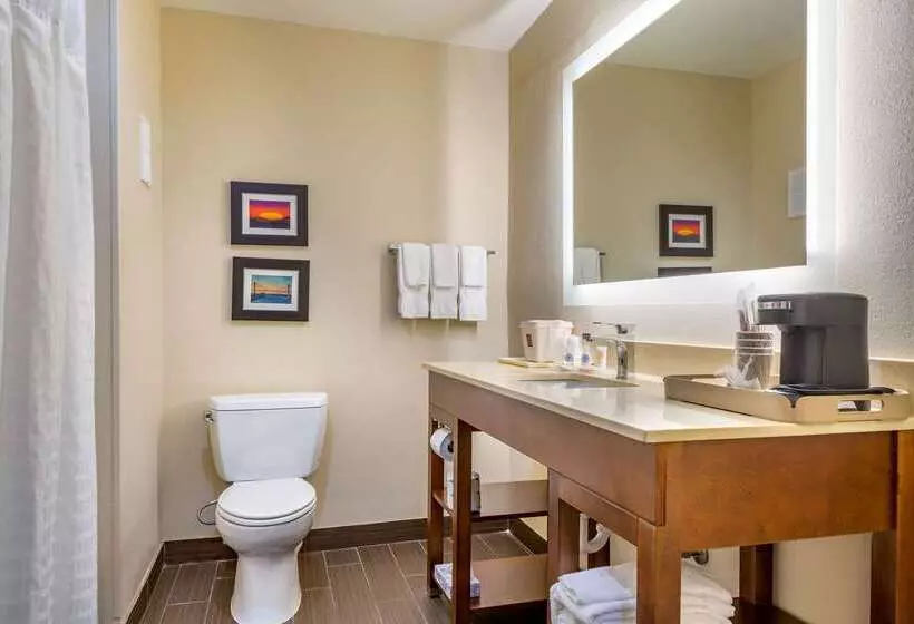 ホテル Comfort Suites Savannah Gateway I95