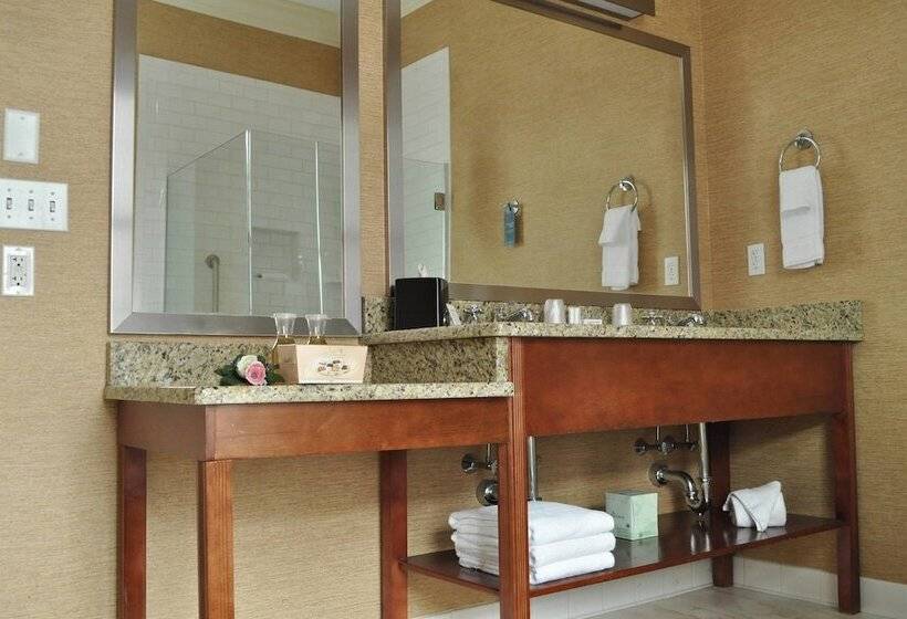 فندق Fairfield Inn & Suites By Marriott Albany Downtown