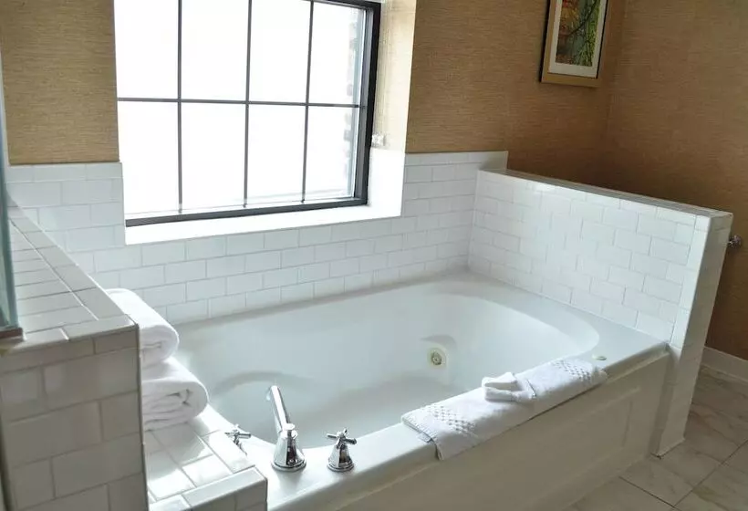 Hotel Fairfield Inn & Suites By Marriott Albany Downtown