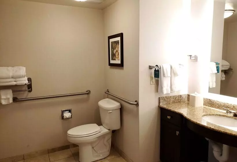 ホテル Homewood Suites By Hilton Phoenix Chandler/fashion Center