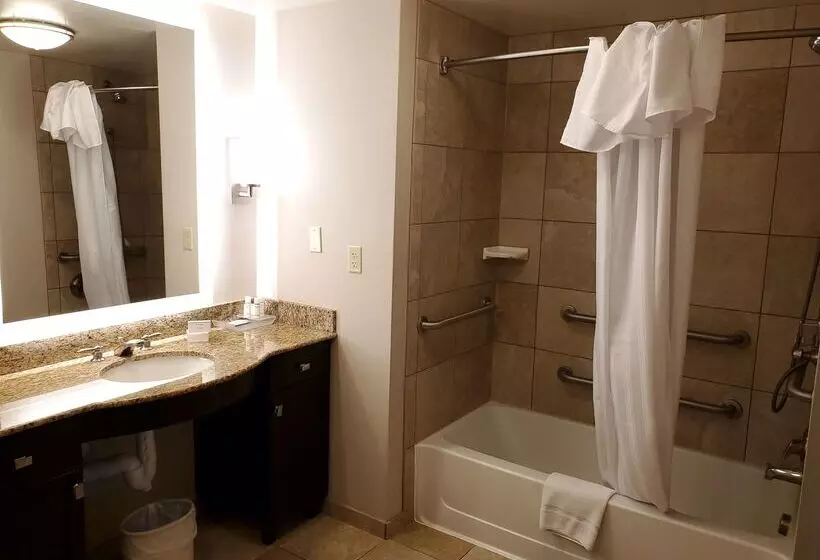 ホテル Homewood Suites By Hilton Phoenix Chandler/fashion Center